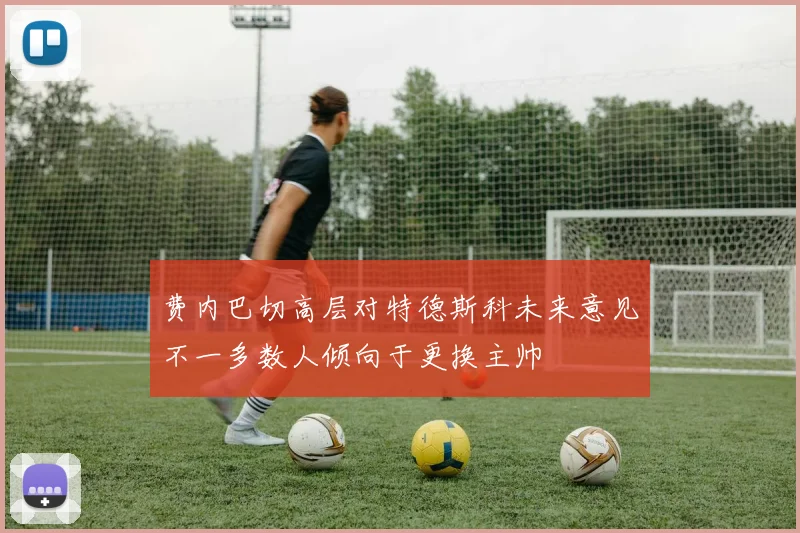 费内巴切高层对特德斯科未来意见不一多数人倾向于更换主帅