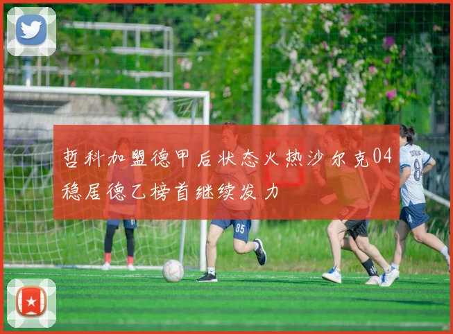 哲科加盟德甲后状态火热沙尔克04稳居德乙榜首继续发力