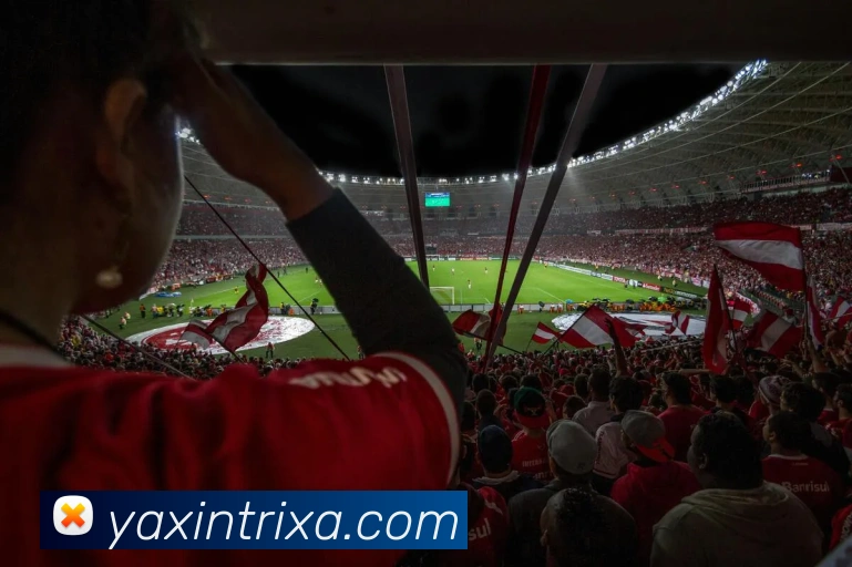 多媒体互动体验