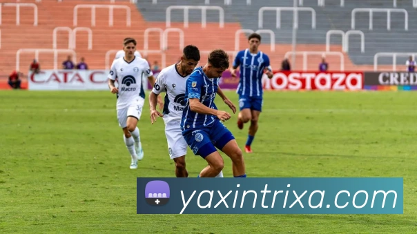 亚新体育APP 体育赛事宣传图